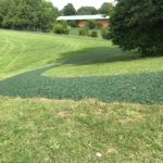 tigermulch running track laid at school