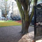 rubber mulch around tree london