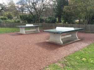 table tennis table on tiger mulch rubber surface