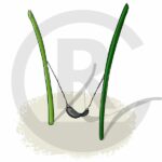 drawn image of grass effect swing set