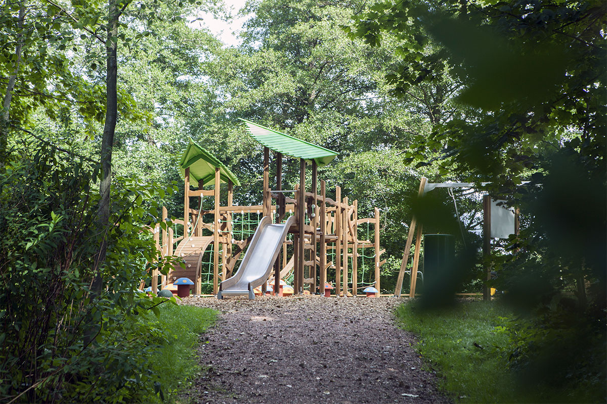 Natural wooden playground equipment in forest setting