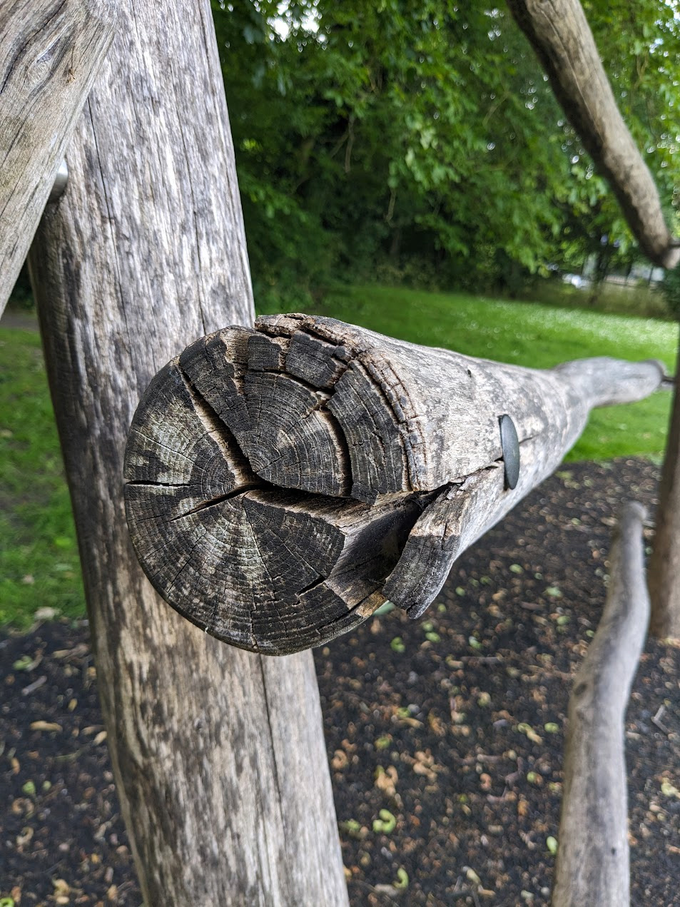 crack in robinia wood use in playground equipment
